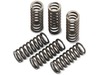Moose Clutch Spring Kit Moose Clutch Spring Kit