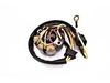 Electrosport Industries Lighting Stator Electrosport Industries Lighting Stator