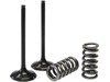 Pro-X Steel Intake Valve and Spring Kit Pro-X Steel Intake Valve and Spring Kit