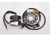 Rick's Motorsport Stator & Rectifier Charging System Rick's Motorsport Stator & Rectifier Charging System
